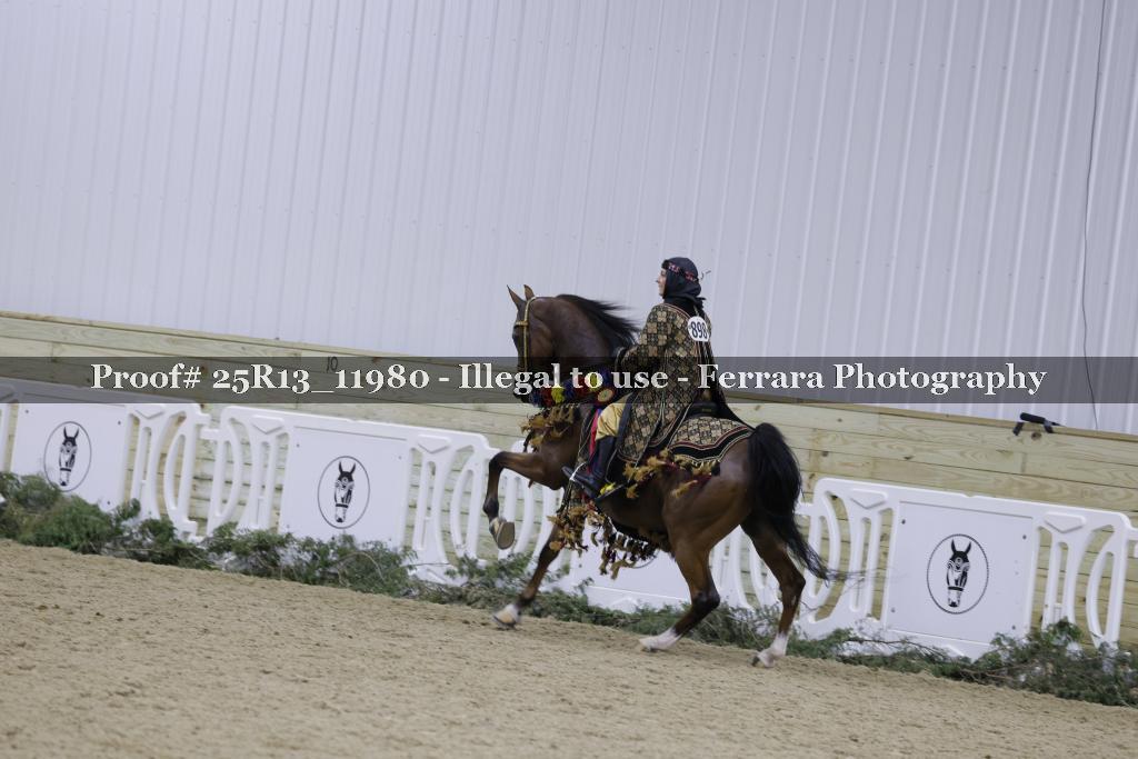 Proof Number 25R13_11980