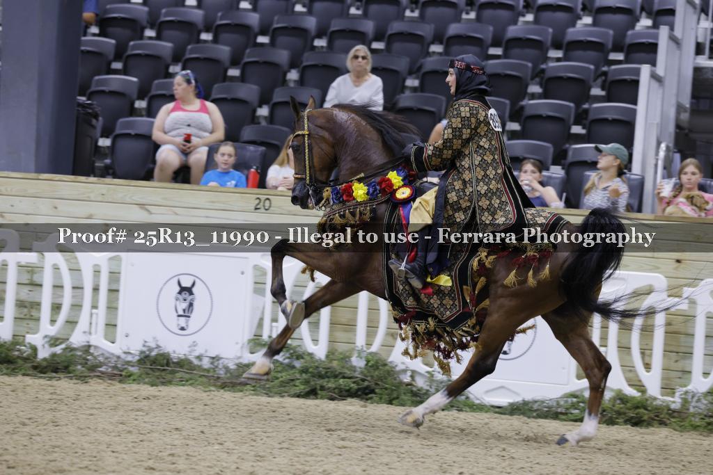 Proof Number 25R13_11990