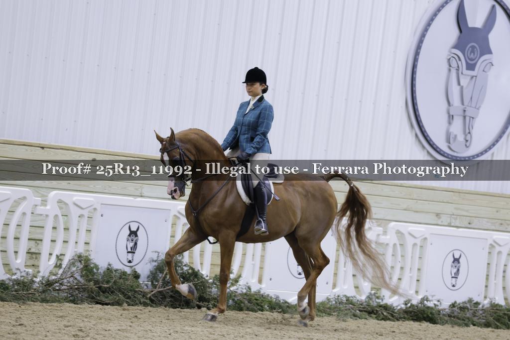 Proof Number 25R13_11992