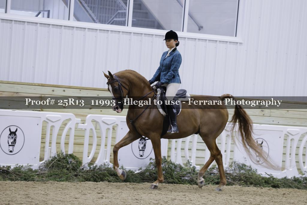 Proof Number 25R13_11993