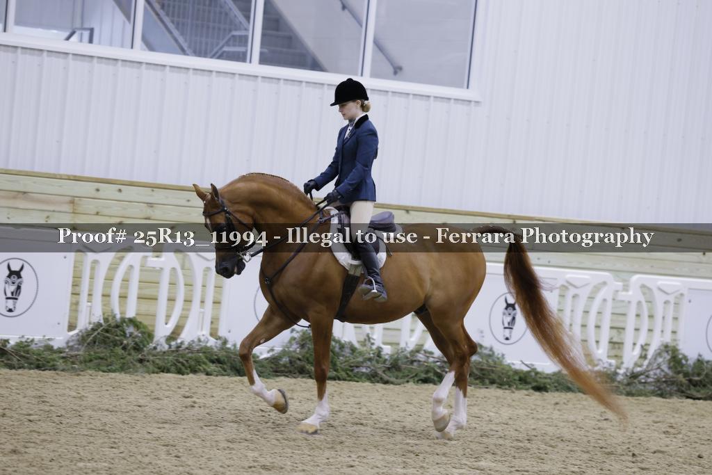 Proof Number 25R13_11994