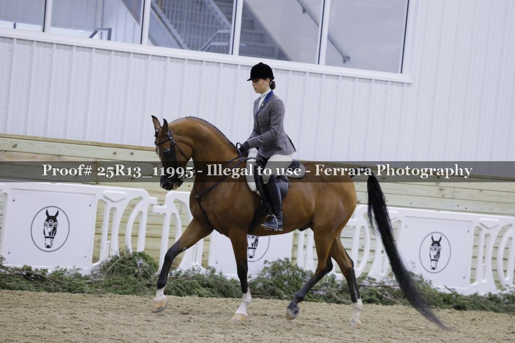 Proof Number 25R13_11995