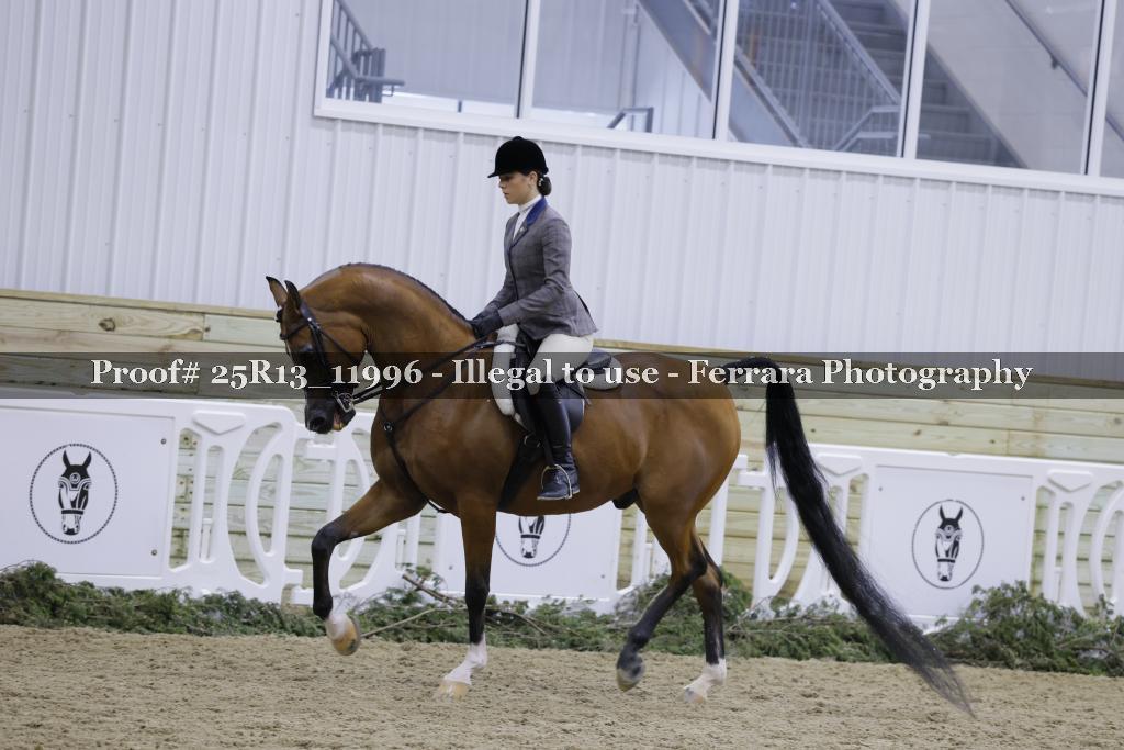 Proof Number 25R13_11996