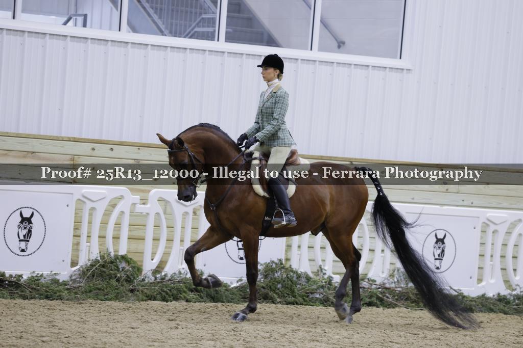 Proof Number 25R13_12000