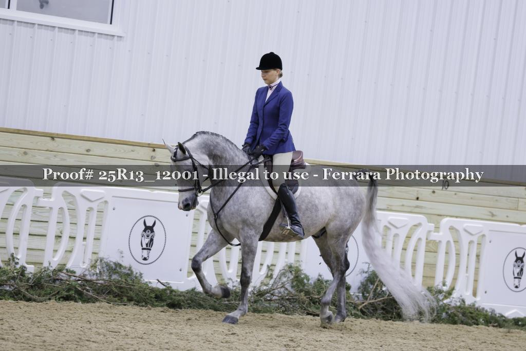 Proof Number 25R13_12001