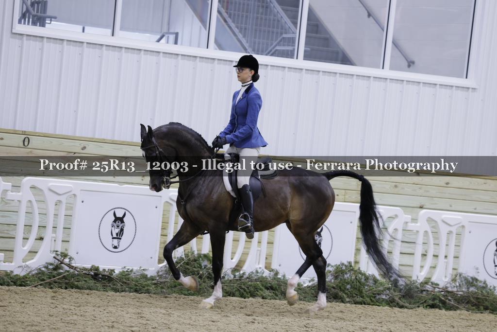 Proof Number 25R13_12003