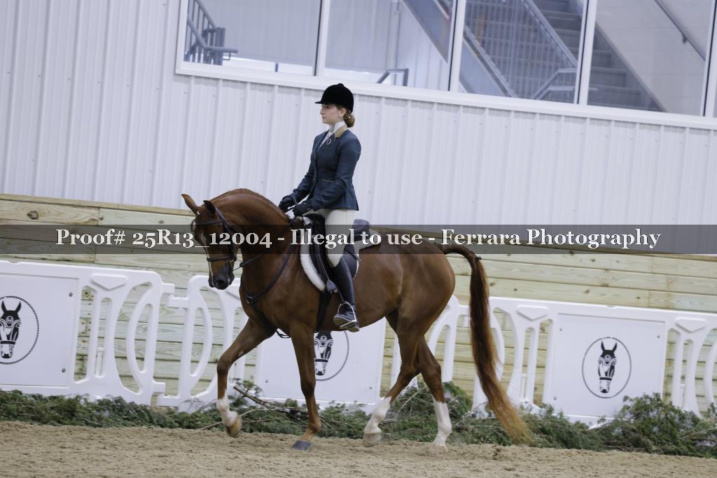 Proof Number 25R13_12004