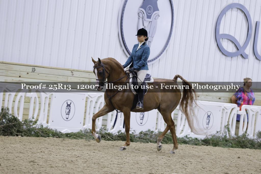 Proof Number 25R13_12007