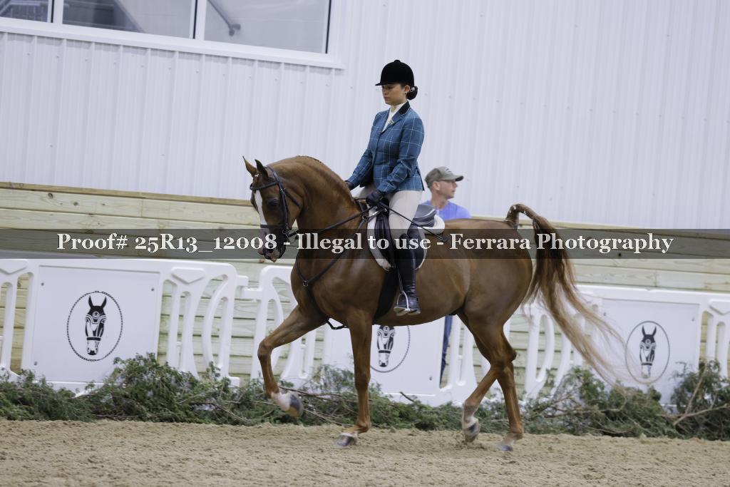 Proof Number 25R13_12008