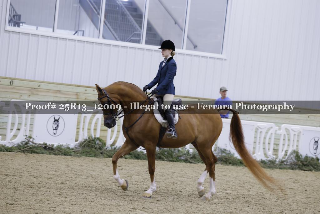 Proof Number 25R13_12009