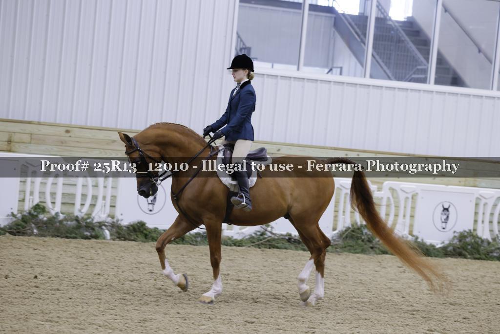 Proof Number 25R13_12010