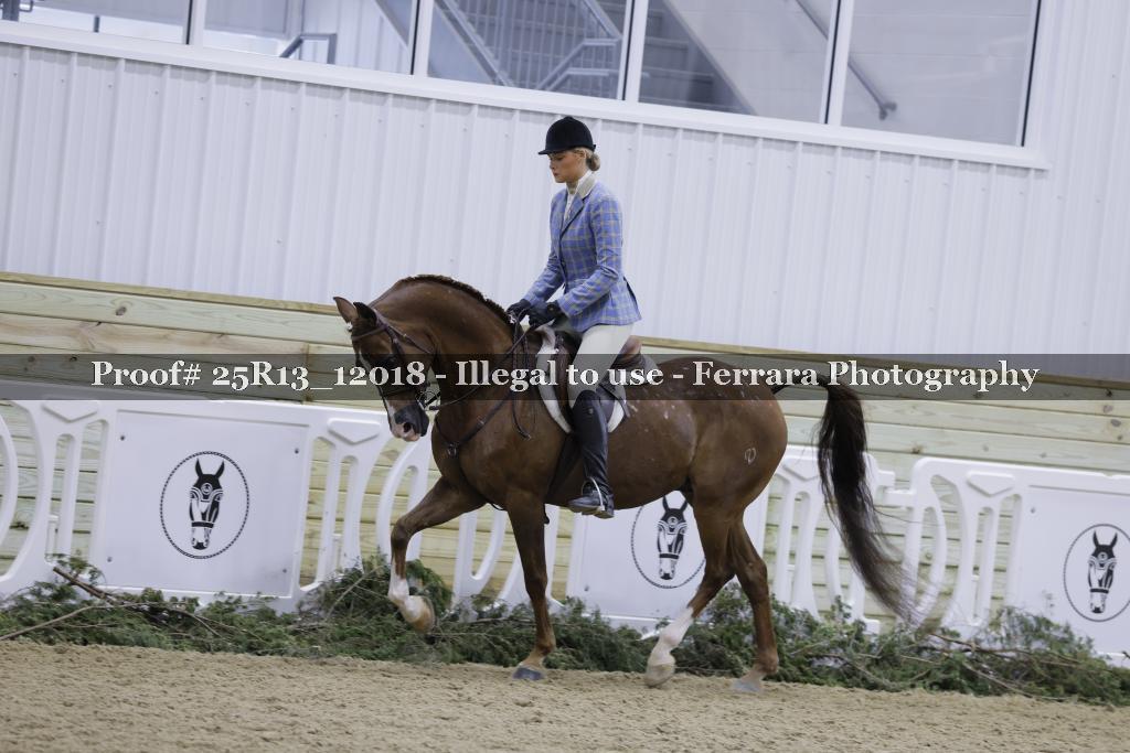 Proof Number 25R13_12018