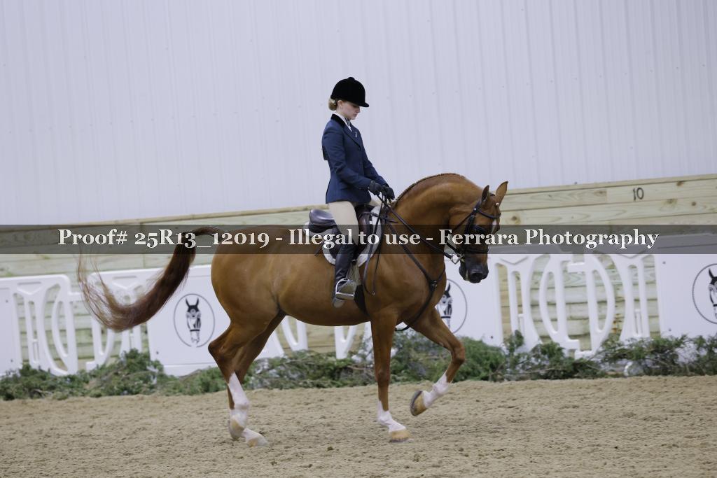 Proof Number 25R13_12019