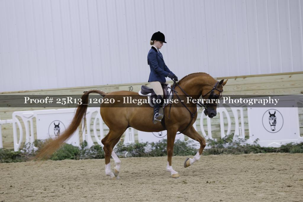 Proof Number 25R13_12020
