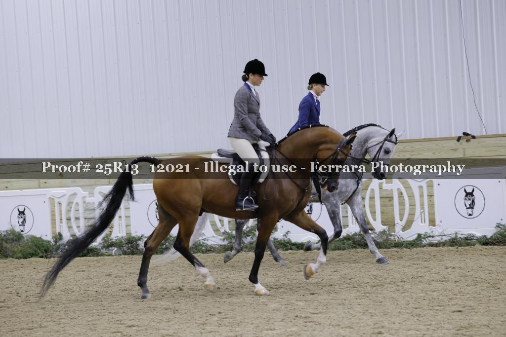 Proof Number 25R13_12021