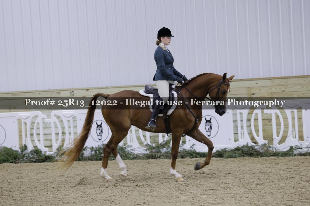 Proof Number 25R13_12022