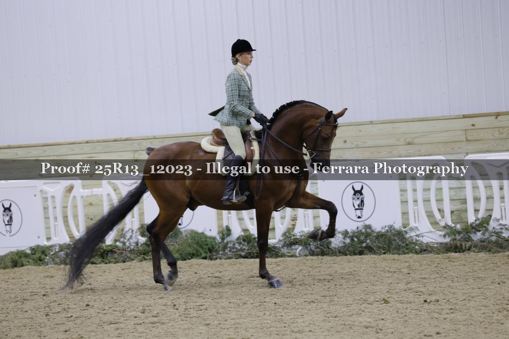 Proof Number 25R13_12023