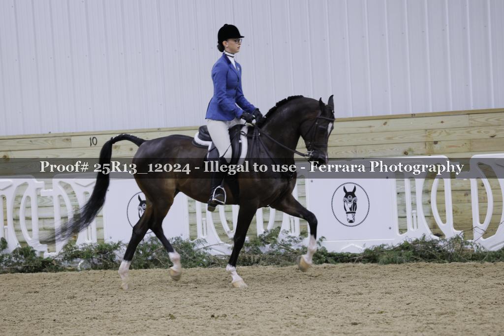 Proof Number 25R13_12024