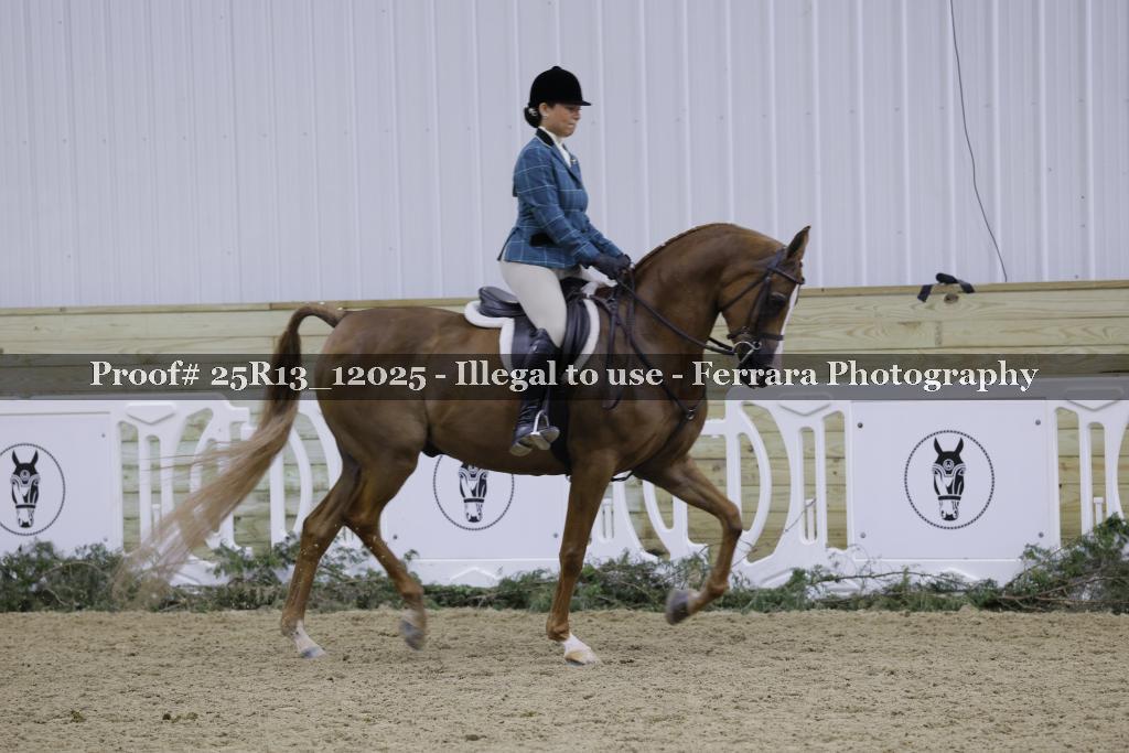 Proof Number 25R13_12025