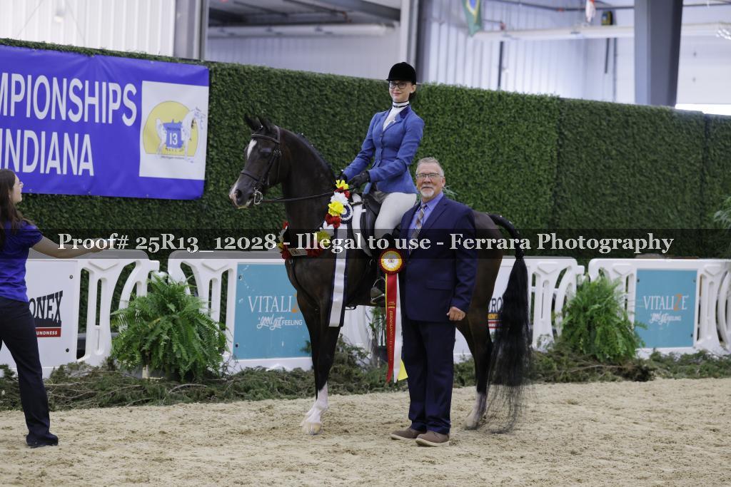 Proof Number 25R13_12028