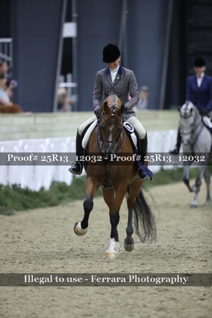 Proof Number 25R13_12032