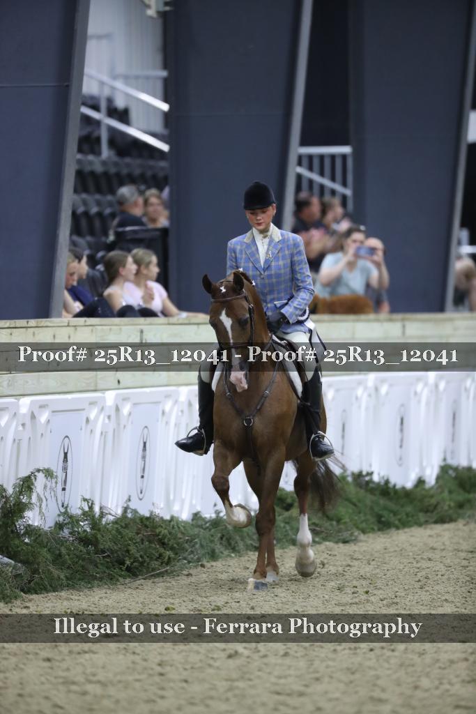 Proof Number 25R13_12041