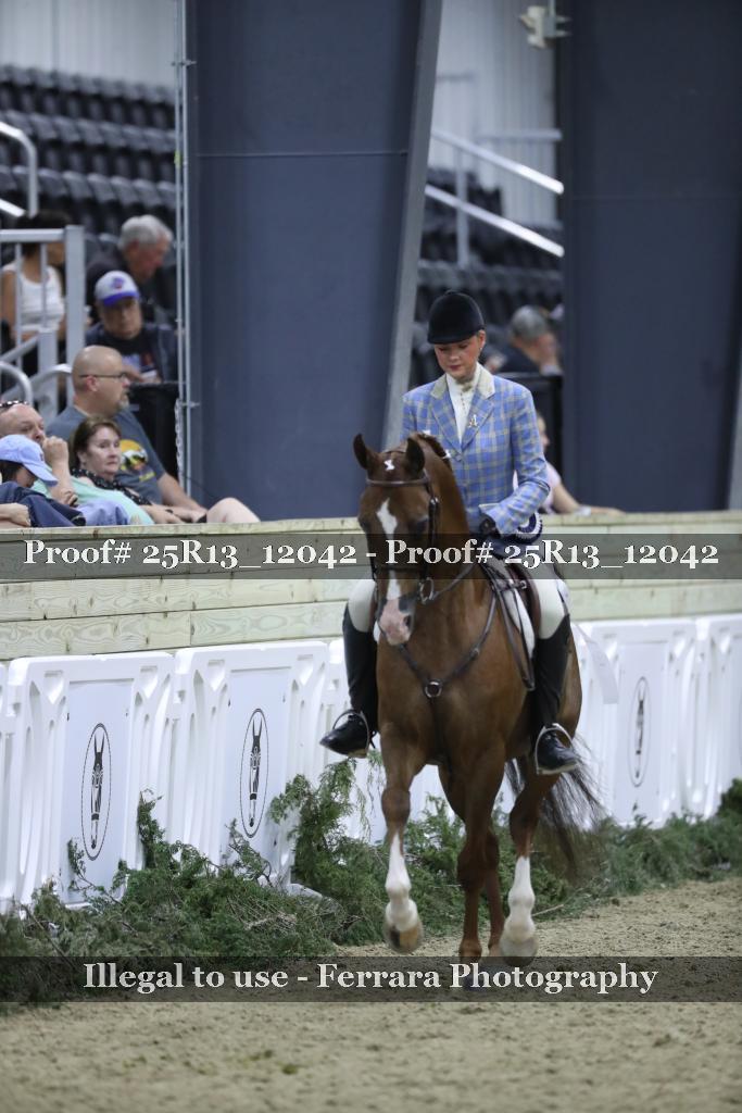 Proof Number 25R13_12042