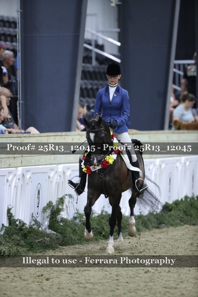 Proof Number 25R13_12045