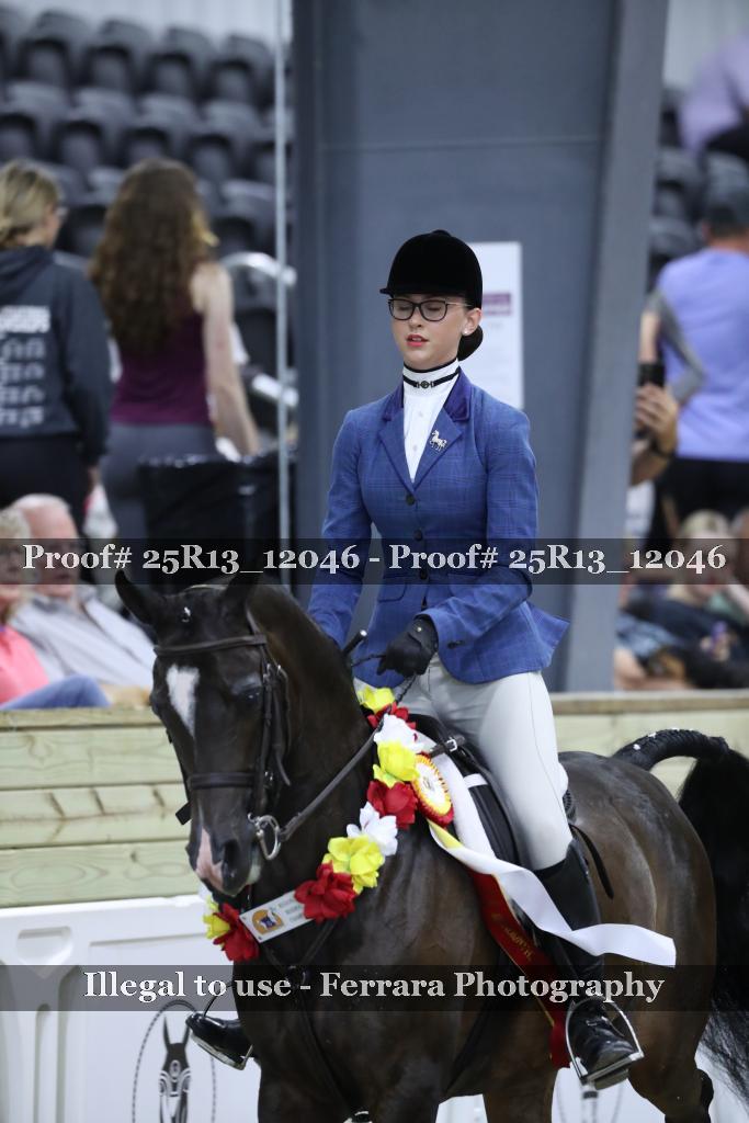 Proof Number 25R13_12046