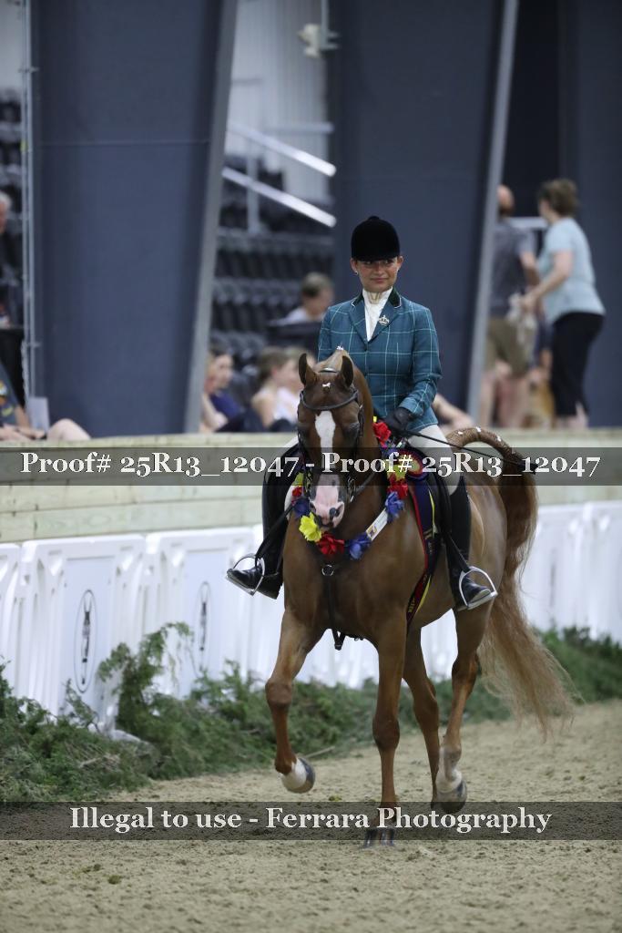 Proof Number 25R13_12047