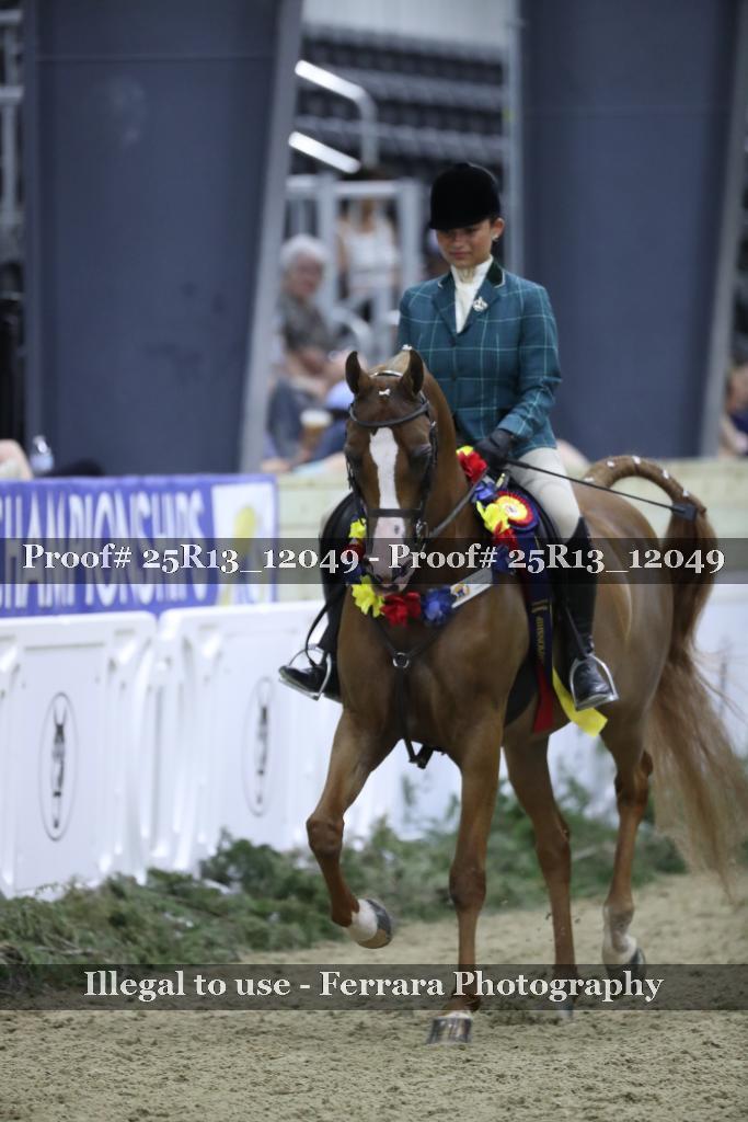 Proof Number 25R13_12049