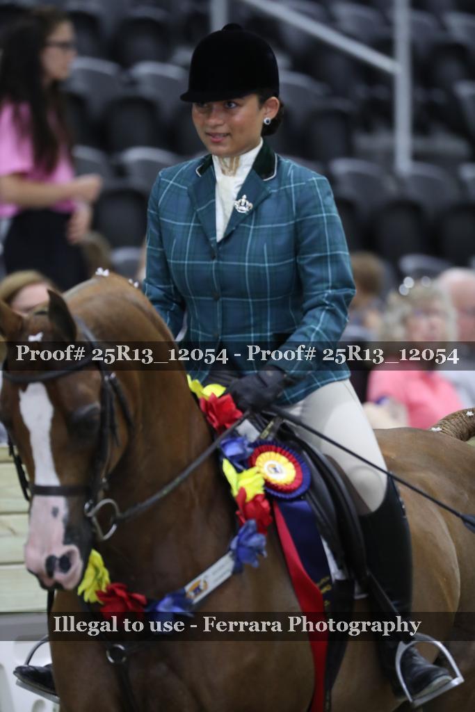 Proof Number 25R13_12054