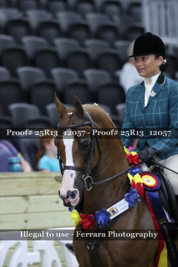 Proof Number 25R13_12057