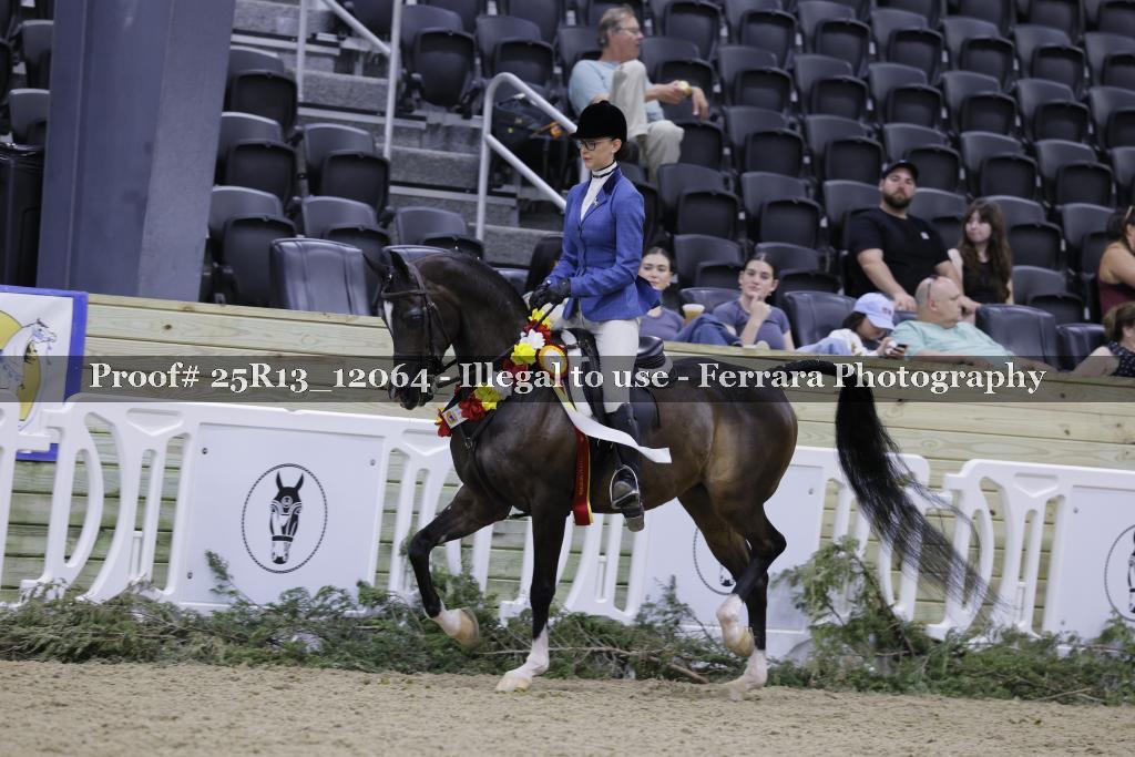Proof Number 25R13_12064
