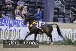 25R13_12065 thumbnail