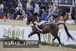 25R13_12066 thumbnail