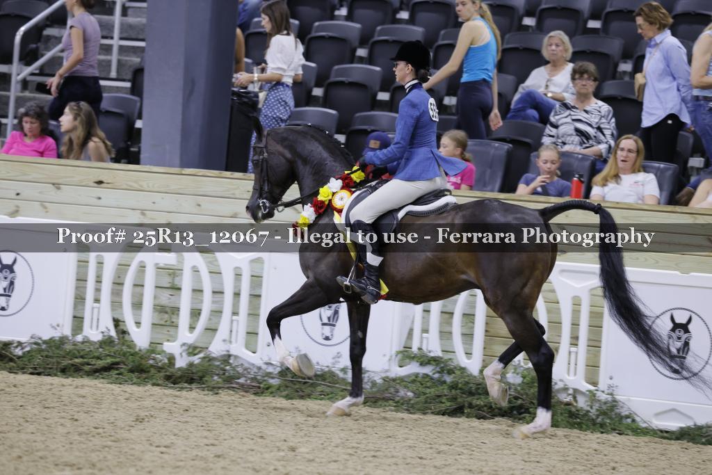 Proof Number 25R13_12067