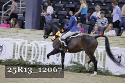 25R13_12067 thumbnail