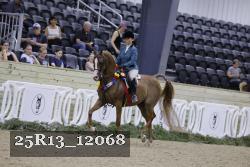 25R13_12068 thumbnail
