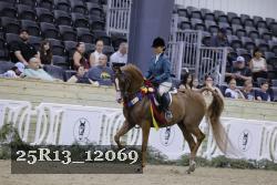 25R13_12069 thumbnail