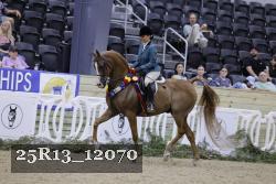 25R13_12070 thumbnail