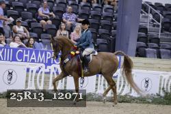 25R13_12071 thumbnail