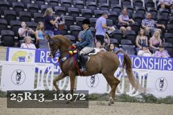 25R13_12072 thumbnail