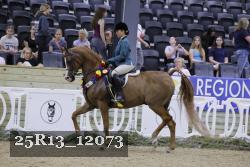 25R13_12073 thumbnail