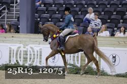 25R13_12075 thumbnail