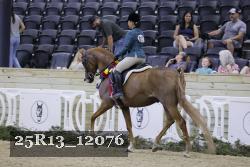 25R13_12076 thumbnail