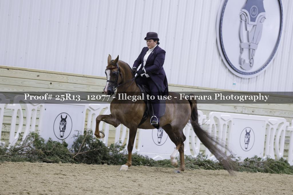 Proof Number 25R13_12077