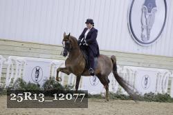 25R13_12077 thumbnail