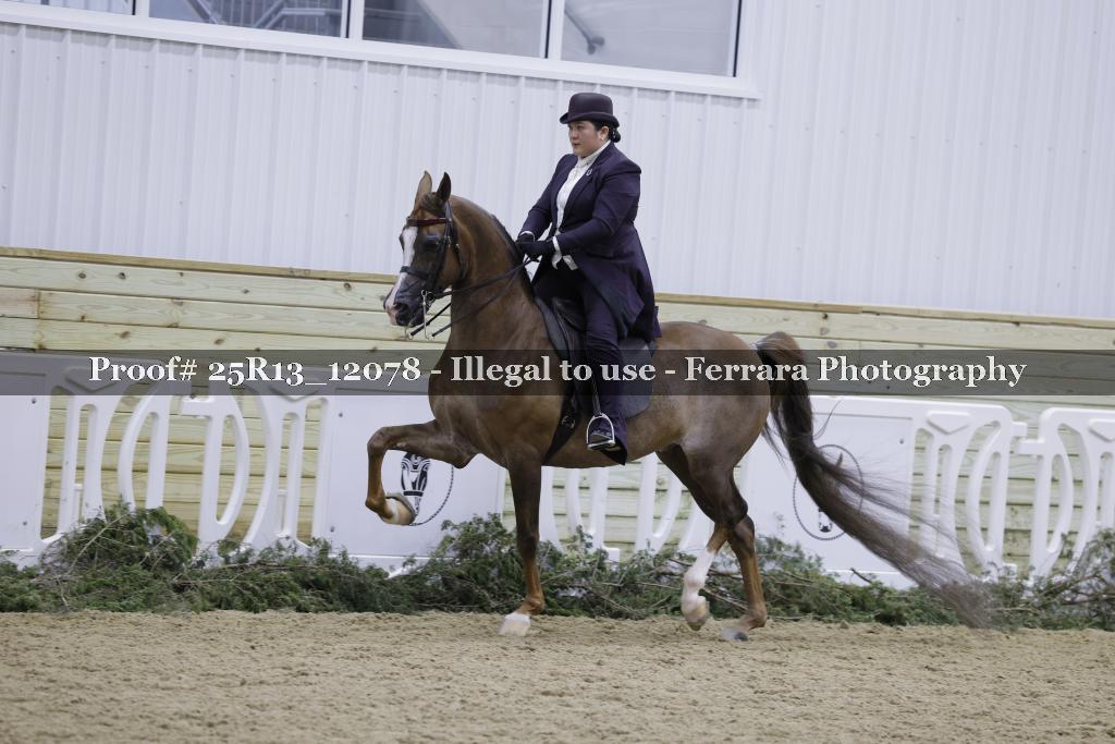 Proof Number 25R13_12078