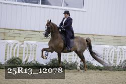 25R13_12078 thumbnail